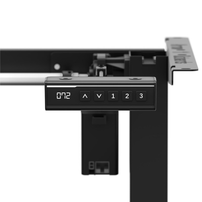 xeno 2 1 electric bas 2