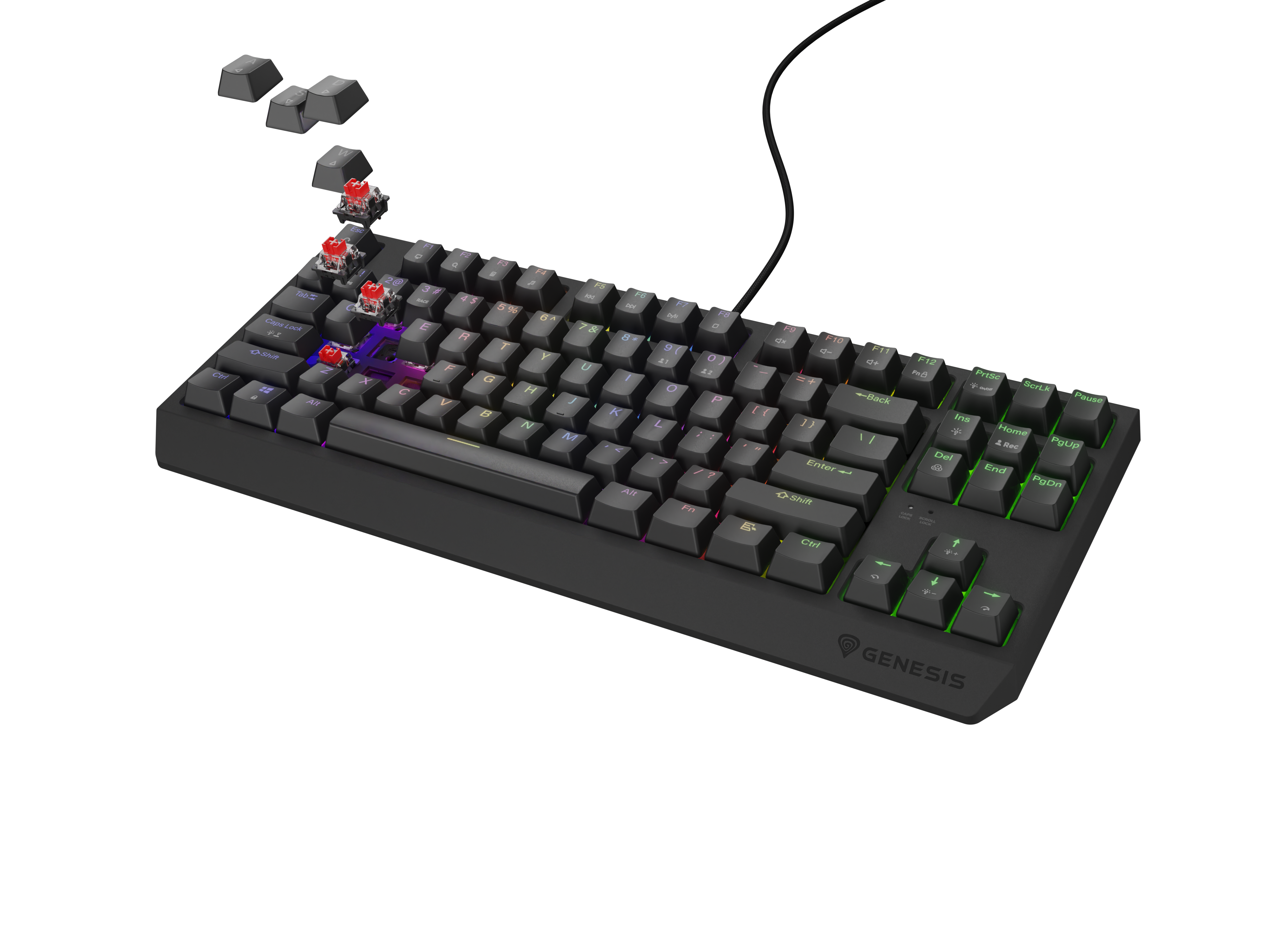 Genesis THOR 230 - Image 3