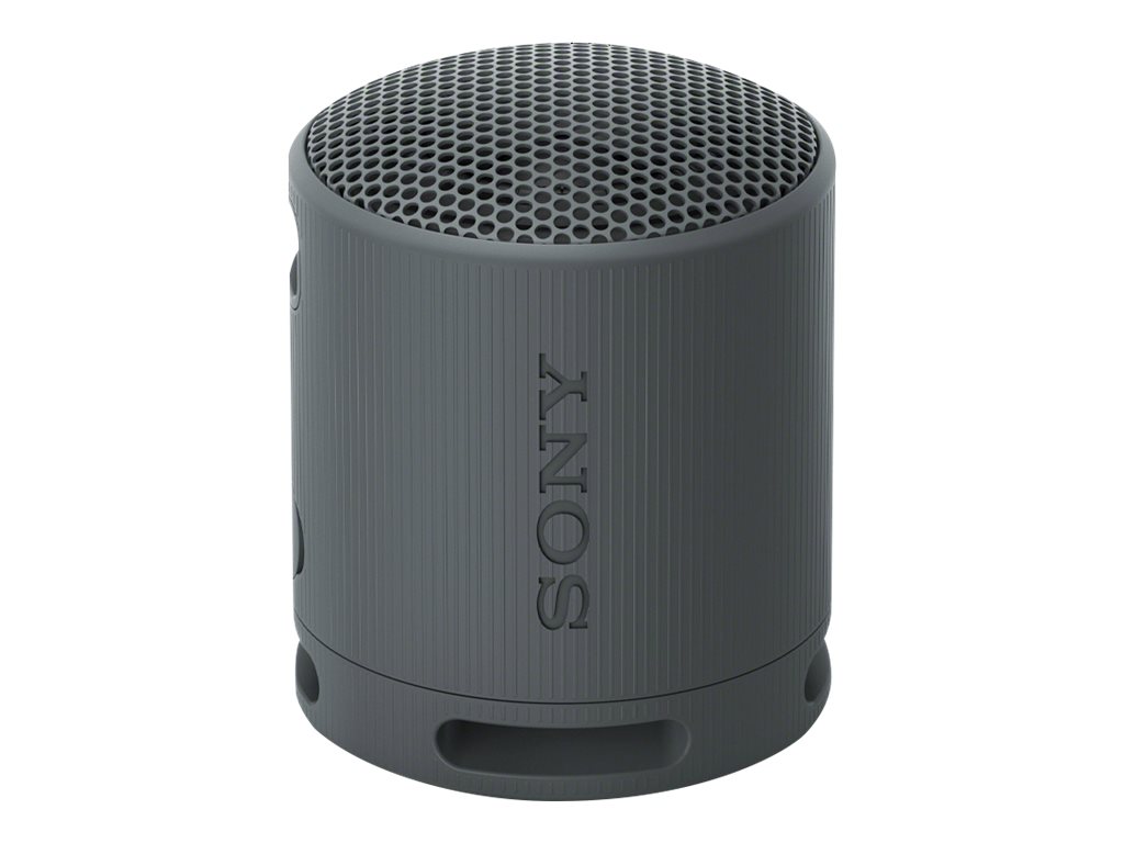 sony speaker srs xb100