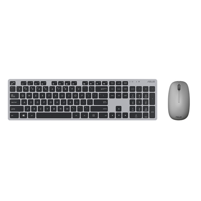 asus w5000
