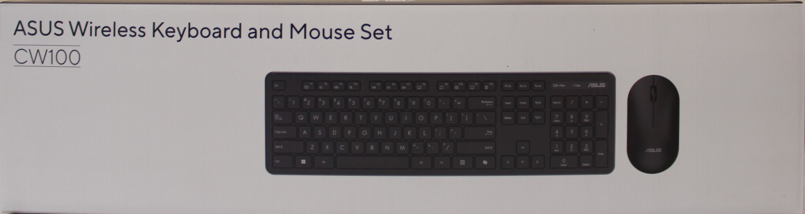 asus cw100
